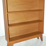 Bookcase of the 50/60