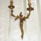 Bronze wall sconces decorated with acanthus leaves.