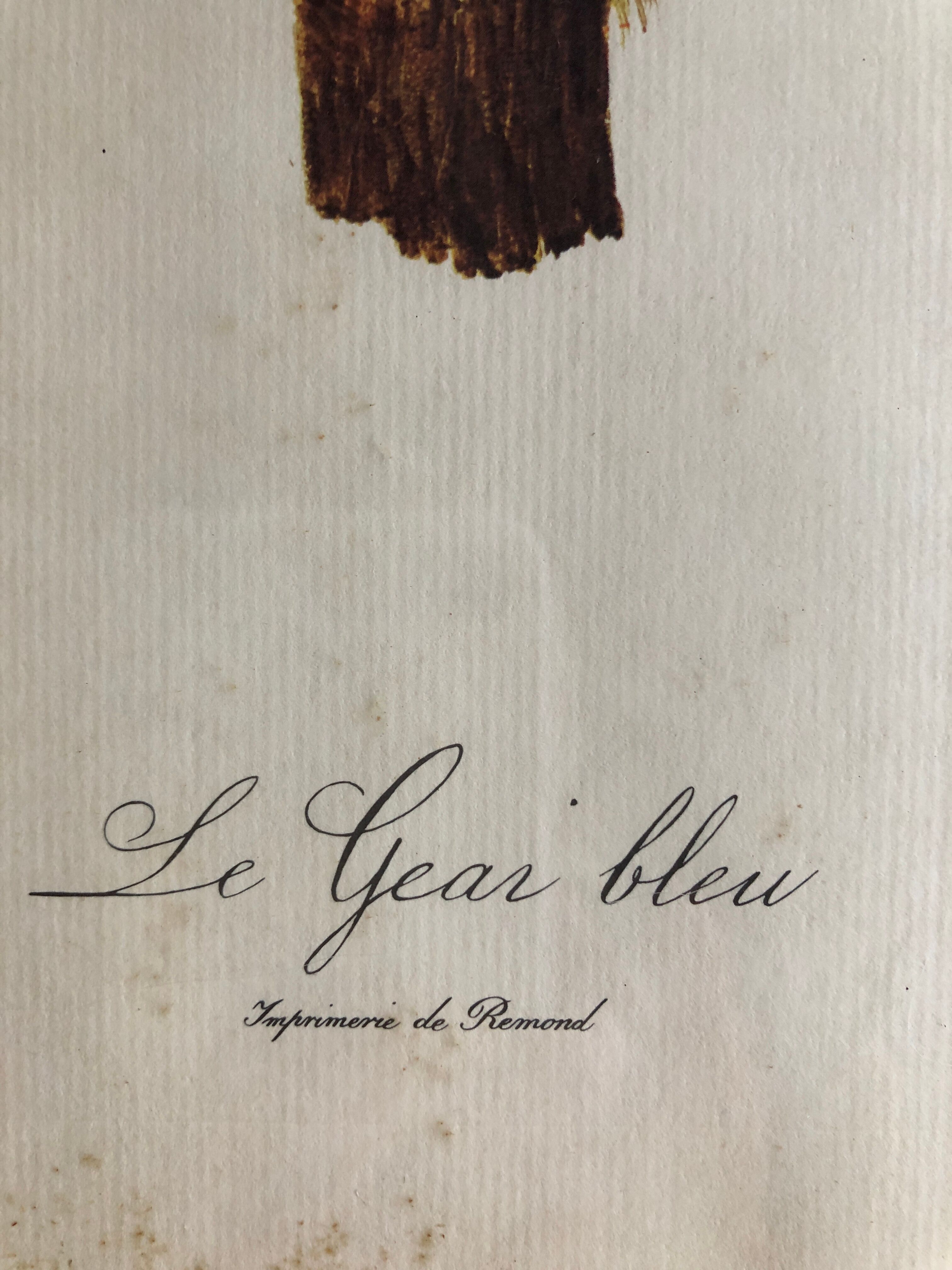 Engraving under glass "Blue Jay"