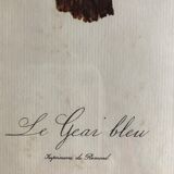 Engraving under glass "Blue Jay"