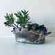 Silver metal flower pot or cover