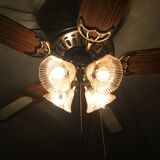 ceiling fan