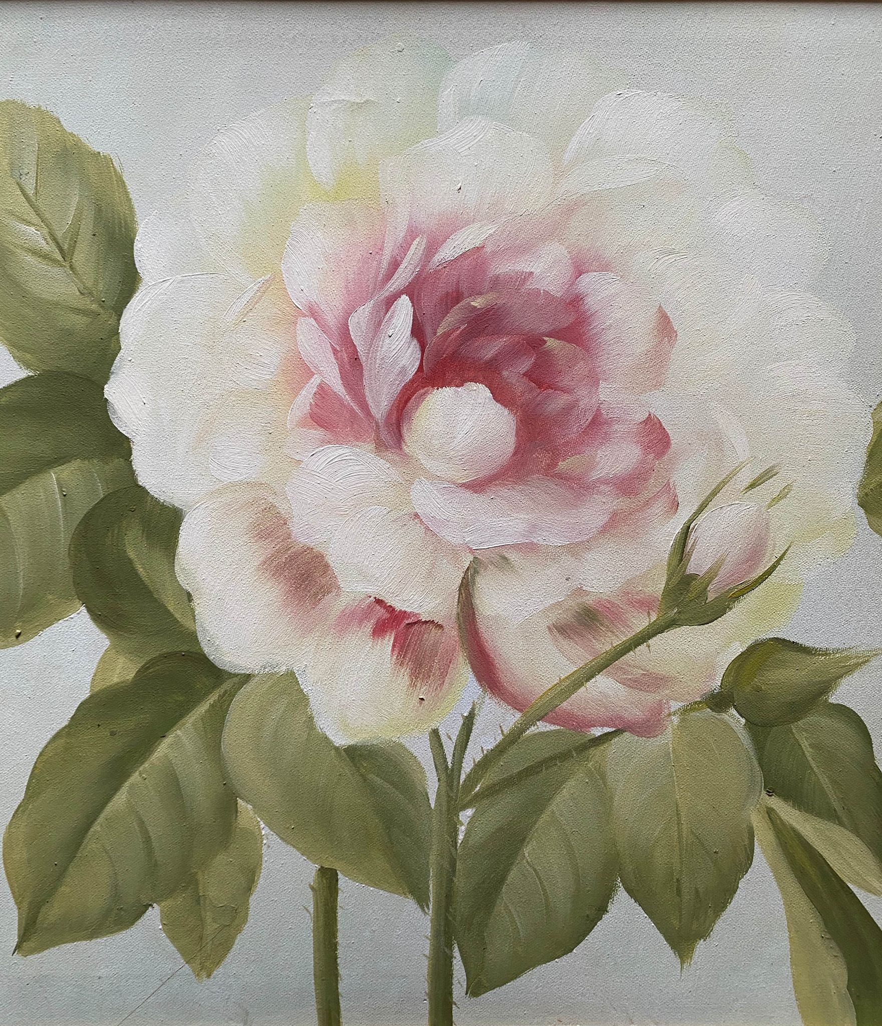 Tableau HST "Rose en fleur et bourgeons" avec cadre