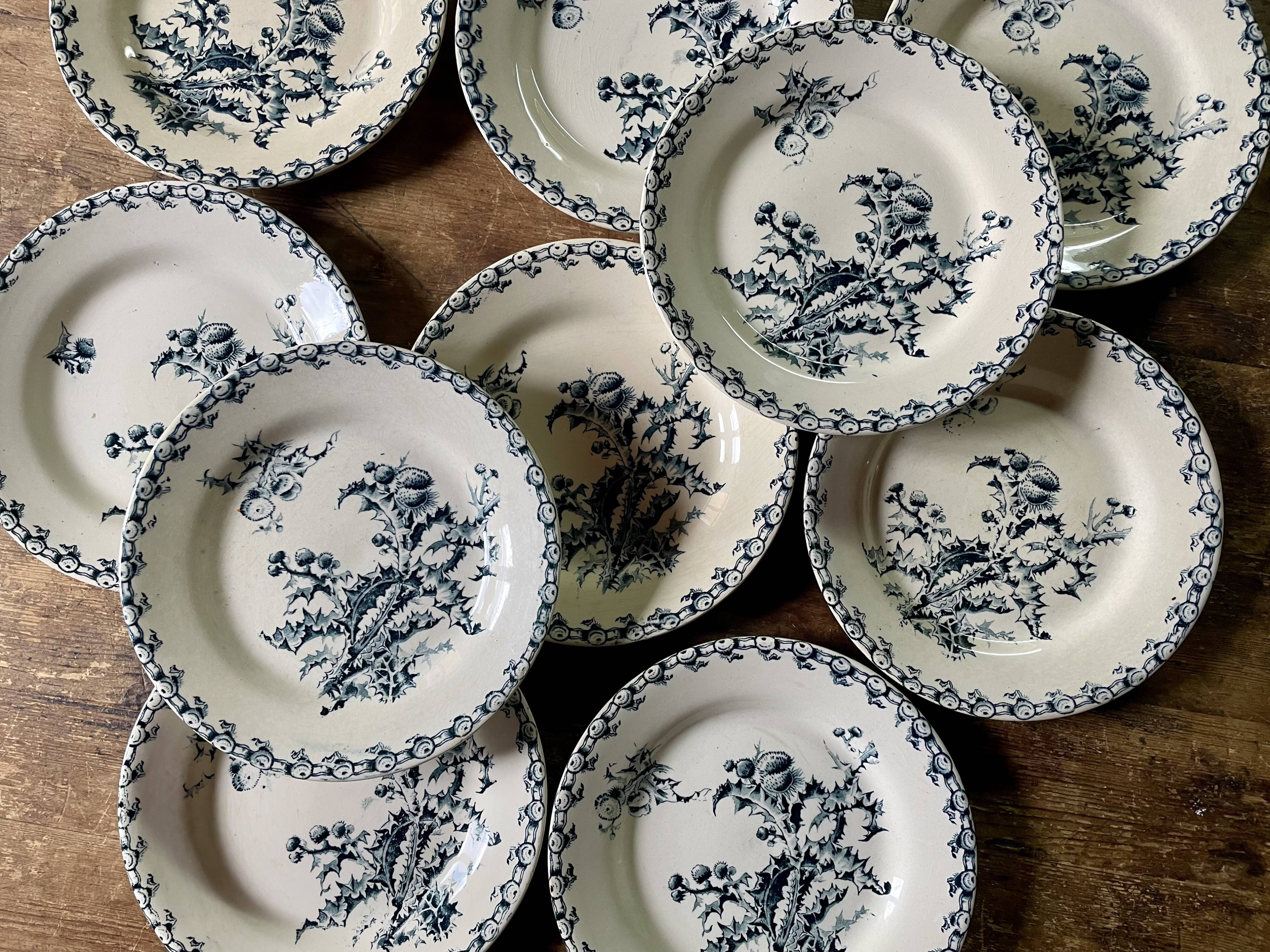 10 plates thistles Gien