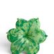 pair of flower candle holders in glass handmade in Italy.