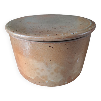 Water dish