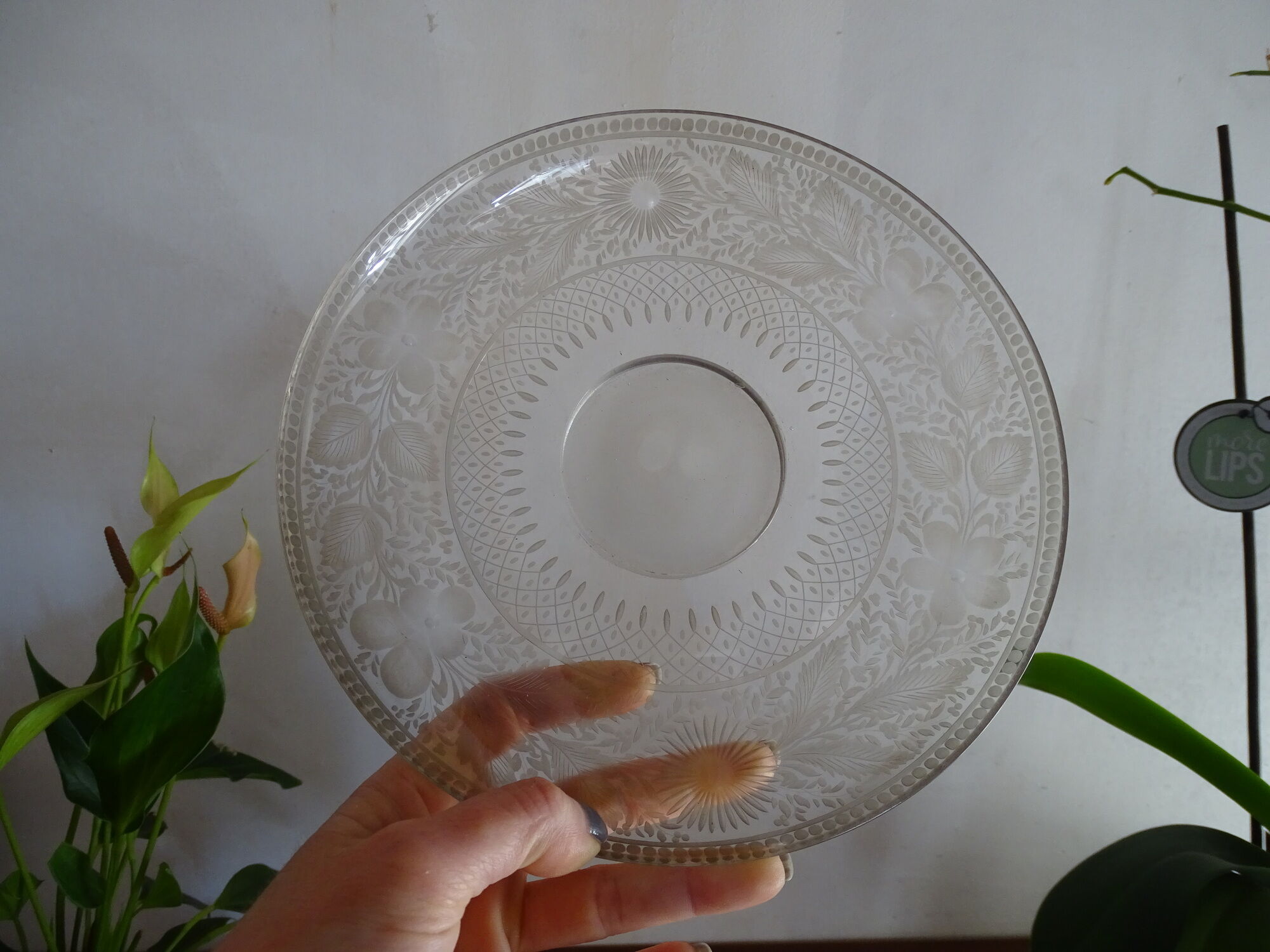 Plate with crystal heel engraved Saint Louis / Baccarat 19th century - 21.5 cm