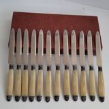 Box 12 horn knives