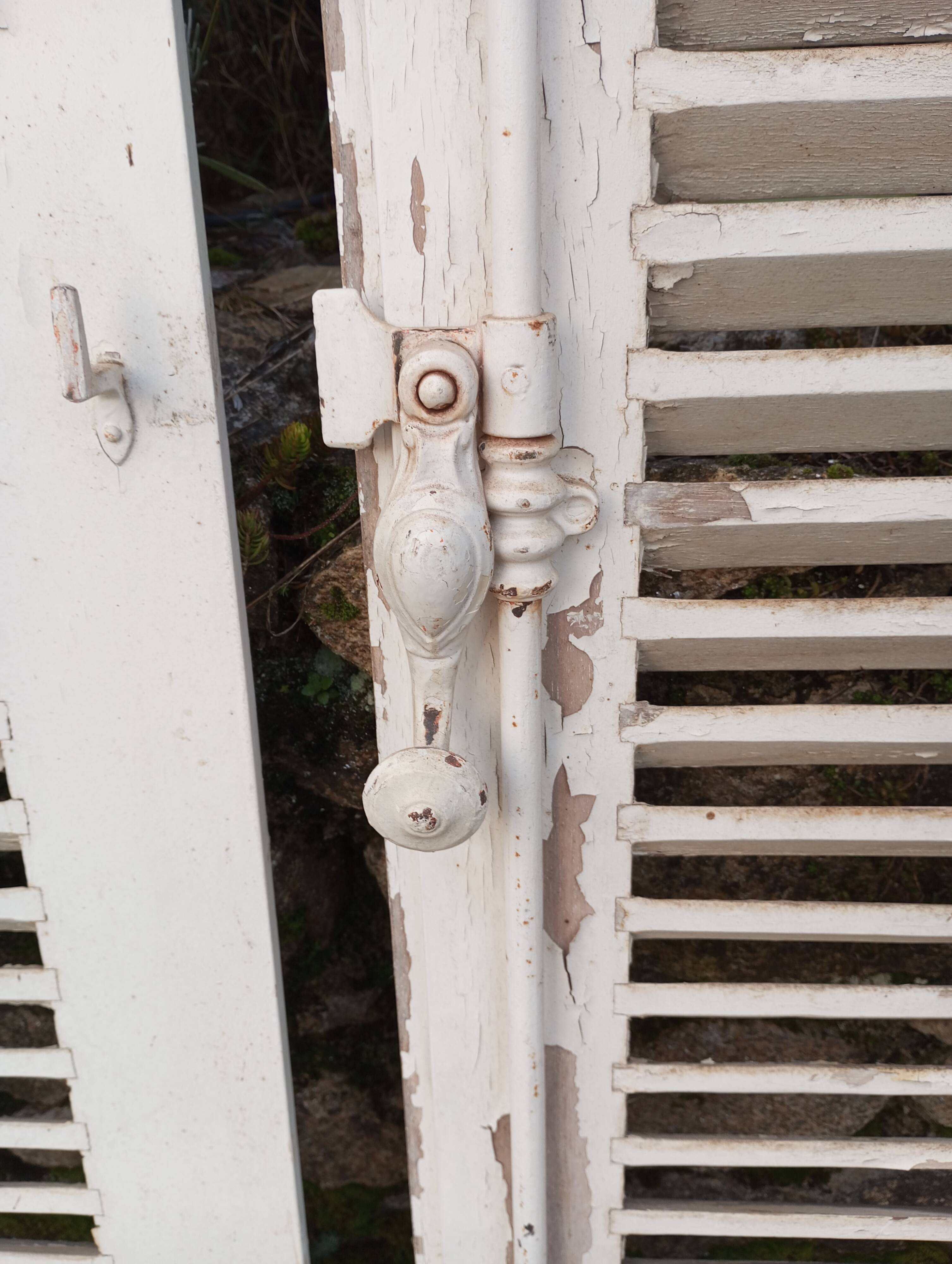 Pair of tropical wood shutters