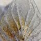 Paire d’appliques feuille verre Murano