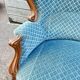 Napoleon III walnut canapé, blue velvet fabric.