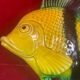 Superb ceramic fish creation albert ferlay vallauris -1970 - 27 x 21 cm