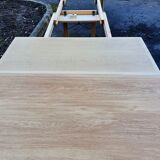 Set table and 6 chairs borge mogensen 1960