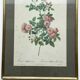 Floral illustration