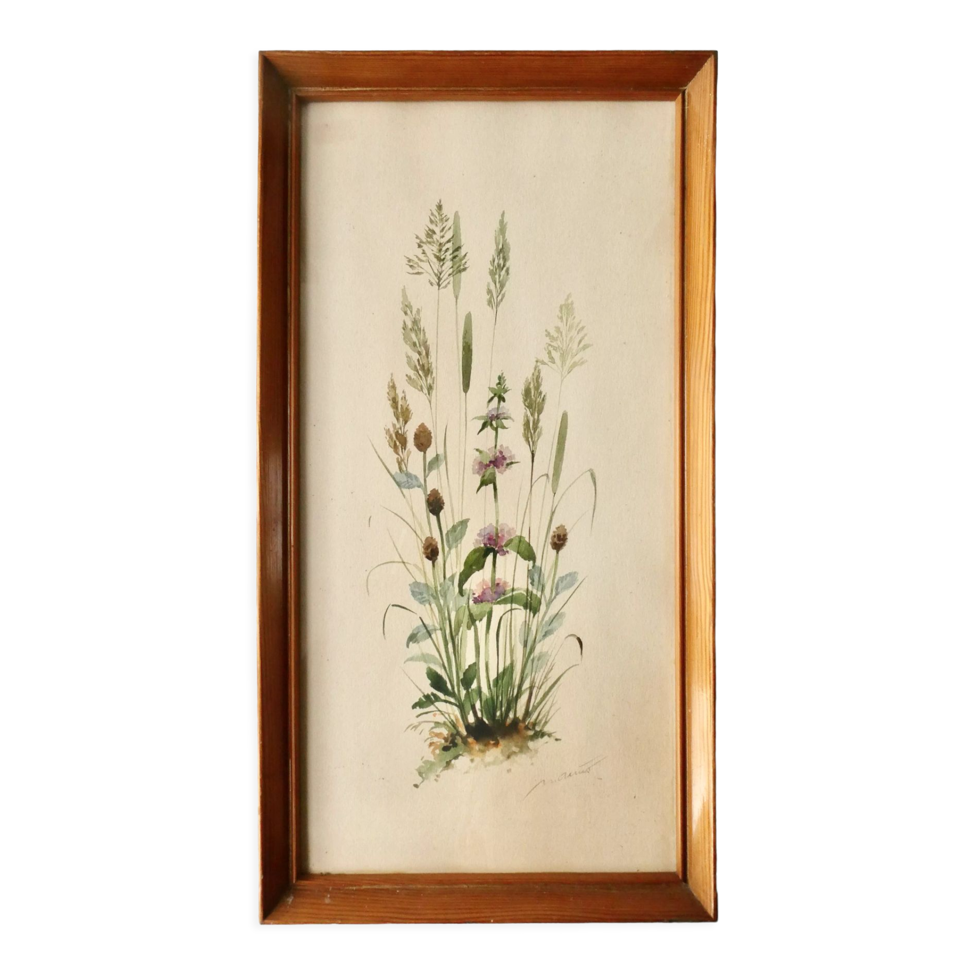 Watercolor painting of wildflowers and grasses, signed, 70s