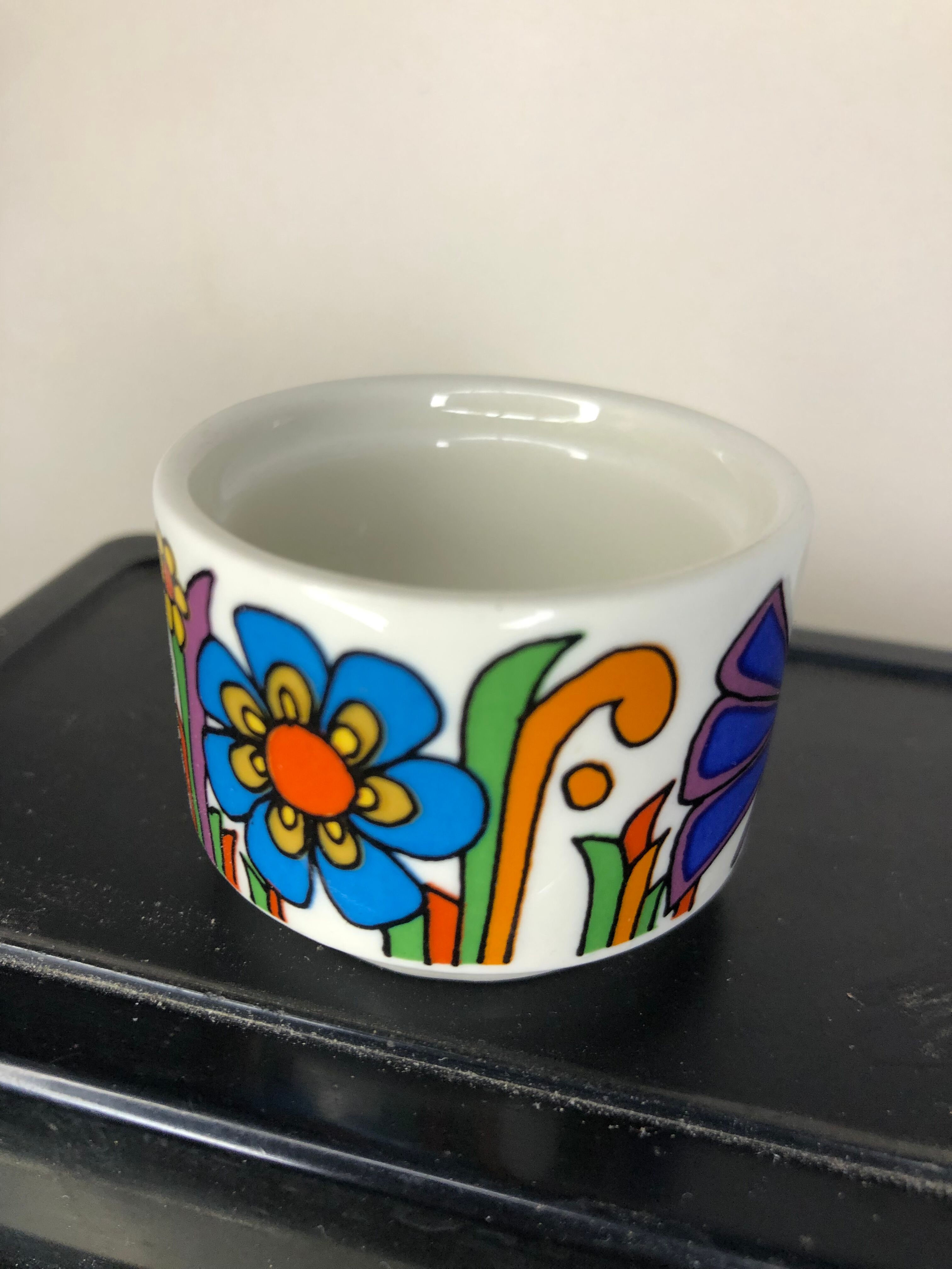 Lot of cockroaches Acapulco Villeroy and Boch