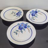 3 anciennes assiettes Sarreguemines