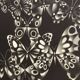 Mario avati (1921-2009), papillons, manière noire, 1970
