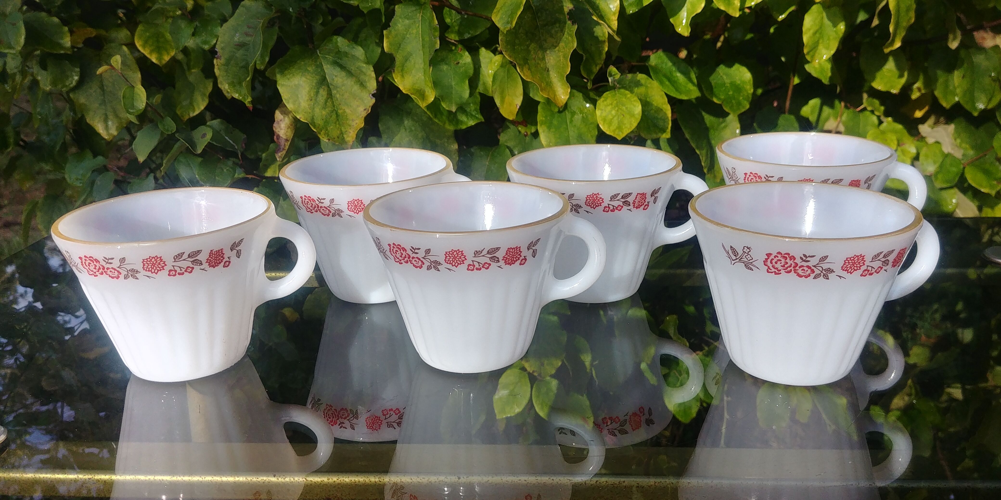 Set of 6 cups vintage Termocrisa Mexico in opaline, 60s