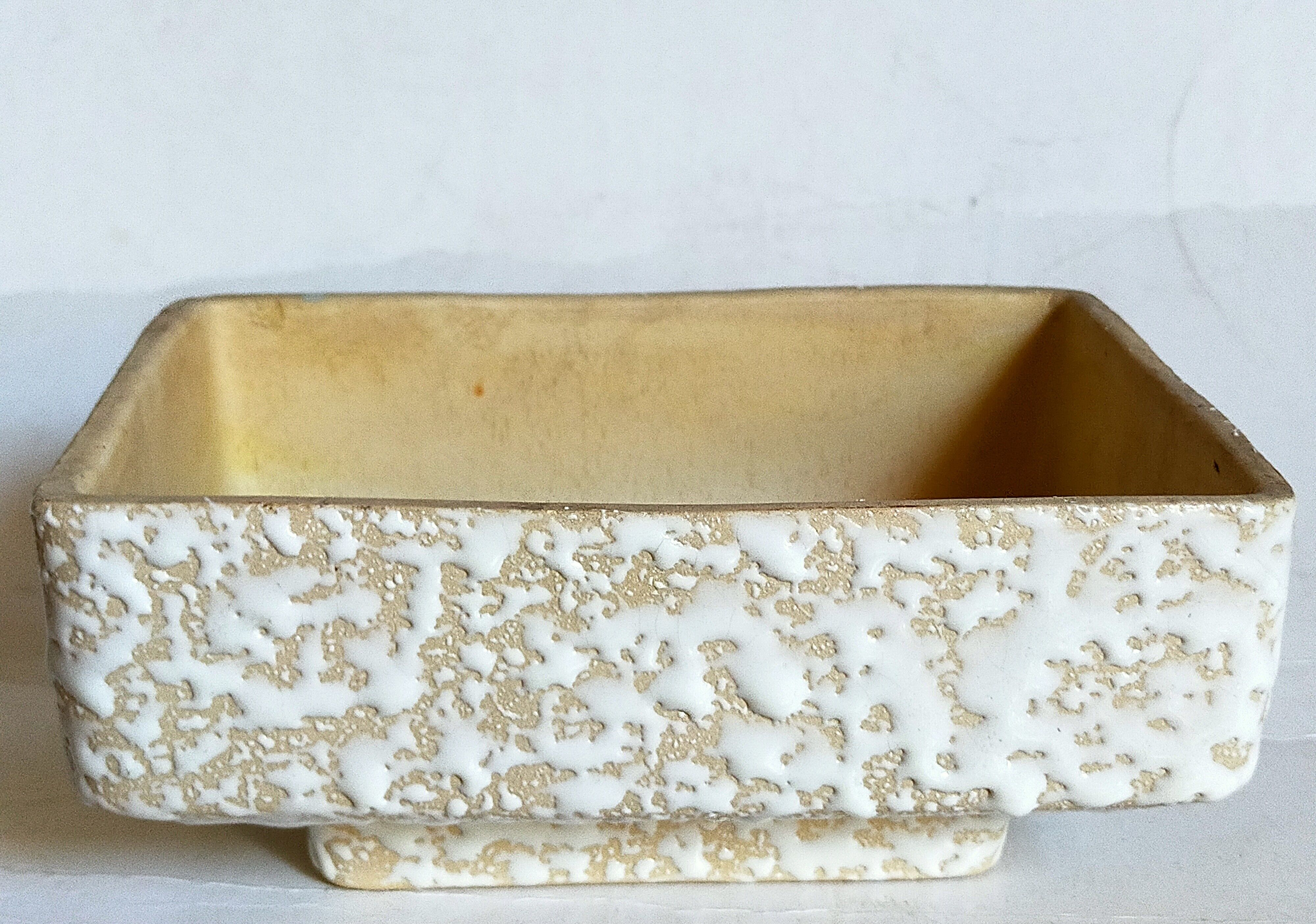 Ceramic cactus pot veter, west-germany model n° 64 with white foam