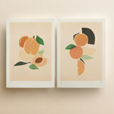 Duo abricots, oranges A4