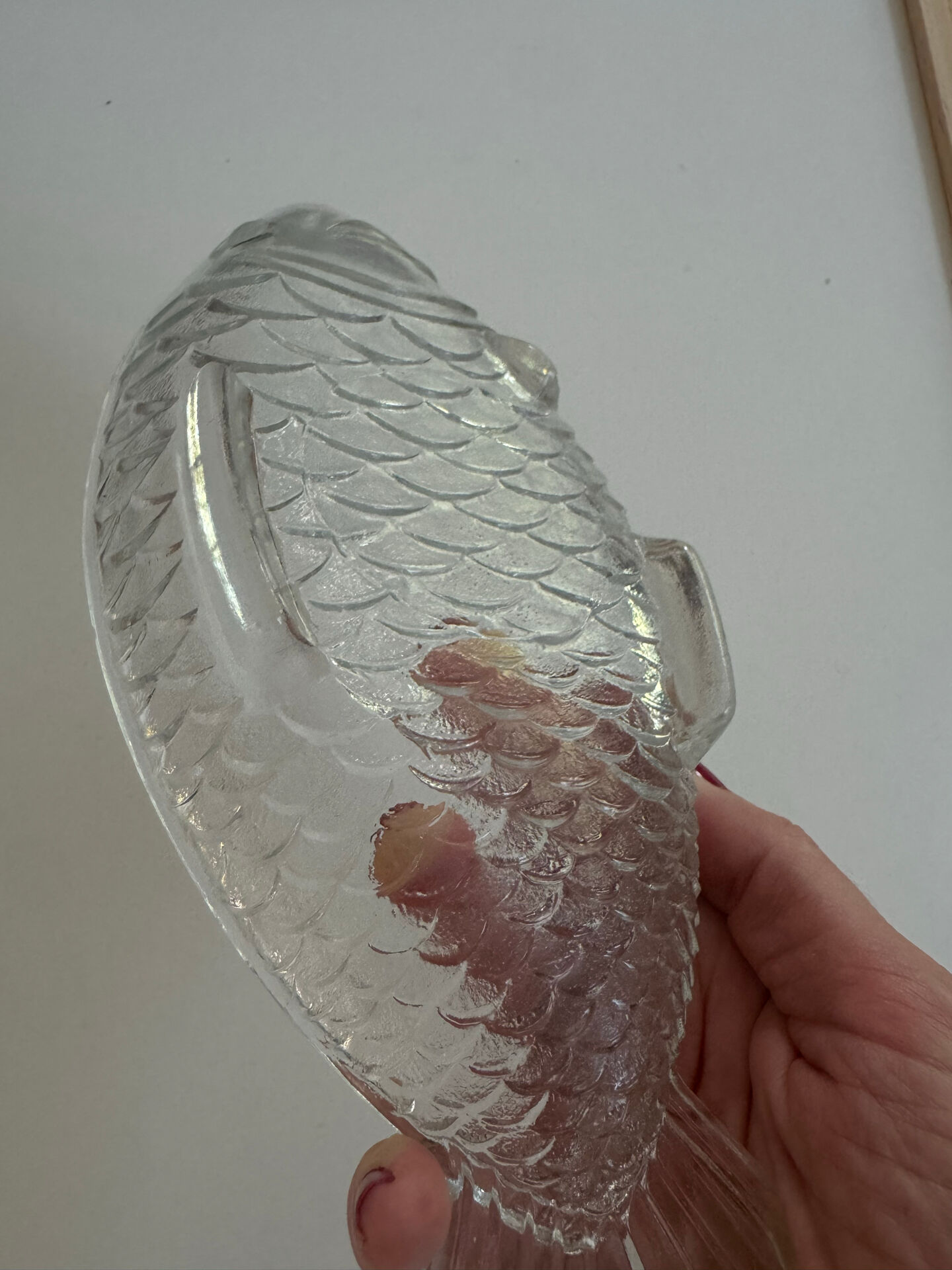 Fish dish