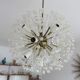 snowball, Dandelion, 17 lights, Emil Stejnar for Rupert Nikoll, Austria 50s