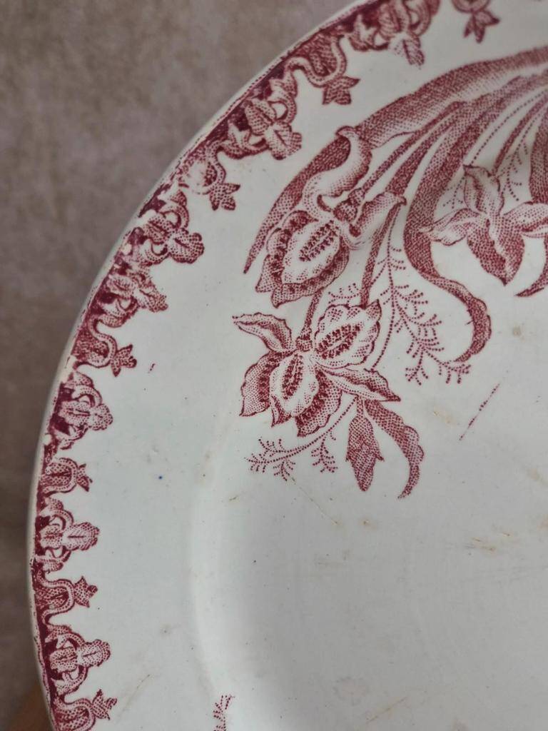 Round antique Saint-Amandoise plate – Iris model – Earthenware