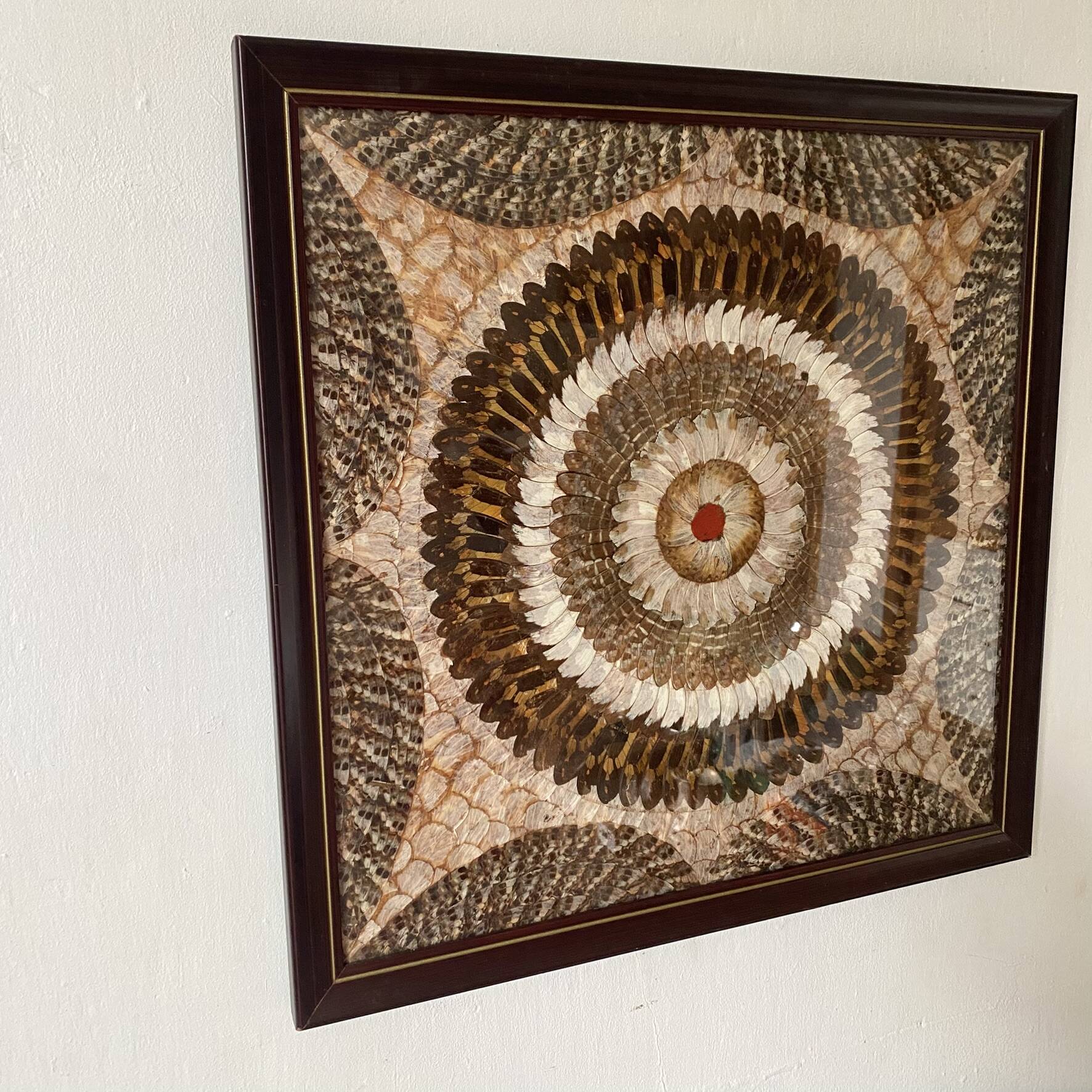 Vintage frame butterfly wings mosaic