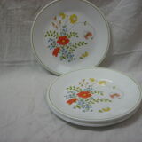 6 assiettes en porcelaine fleuries 1970