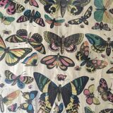 Framed botanical plank, 1900