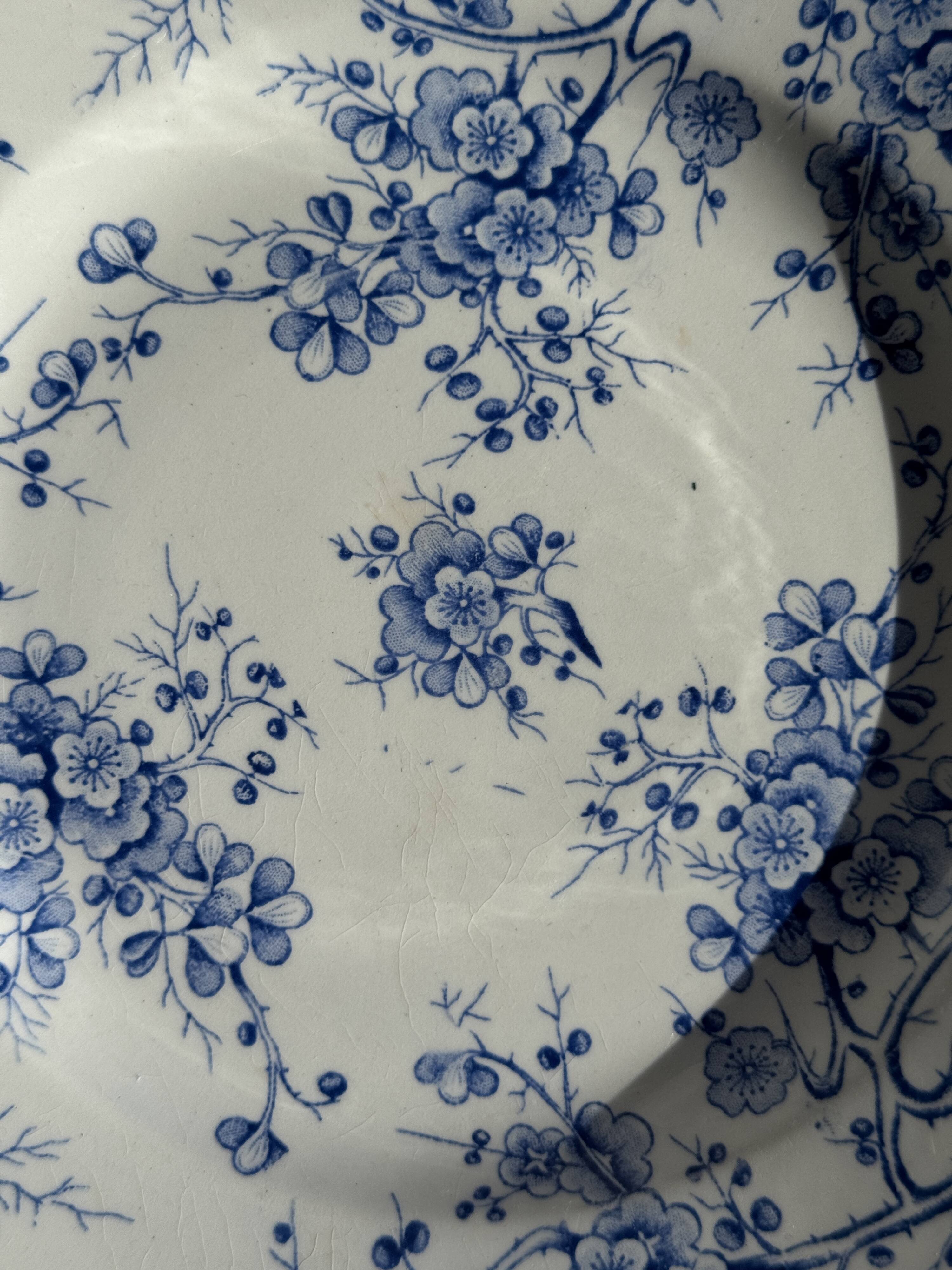 Set of 3 blue plates from Gien pottery, Fleurette model, D22.5.