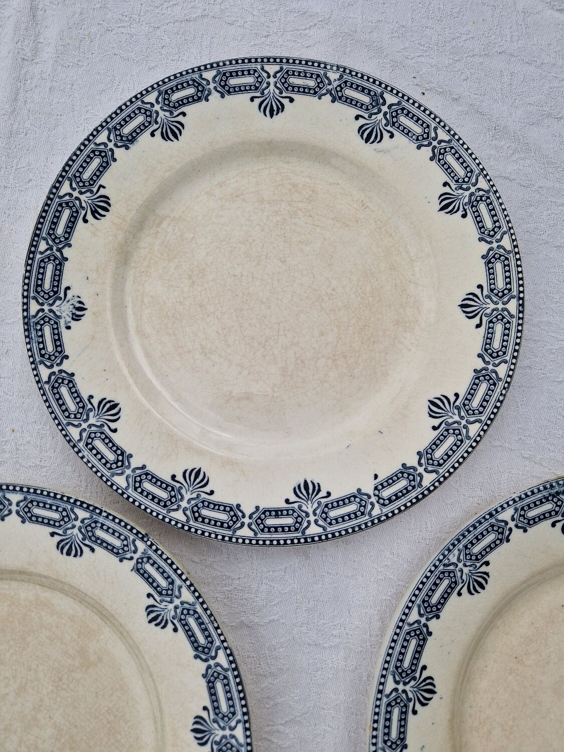 Set of 11 Dessert Plates Ter De Fer Salins Rivoli Model