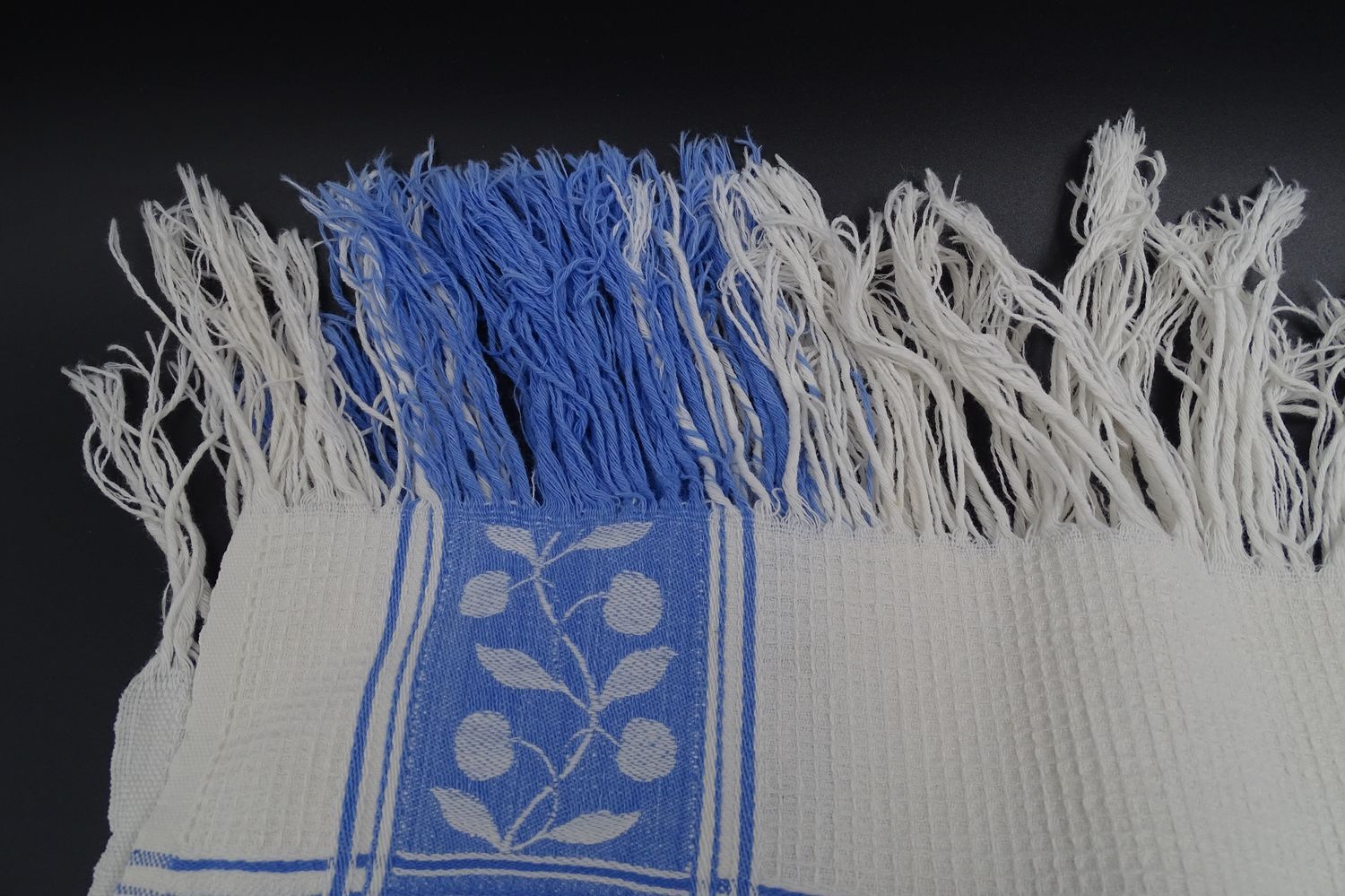 Lot of 2 old and cotton tea towels - Pretty blue friezes - Franges - Circa 1920-1930