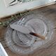 2 assiettes plates en verre transparent