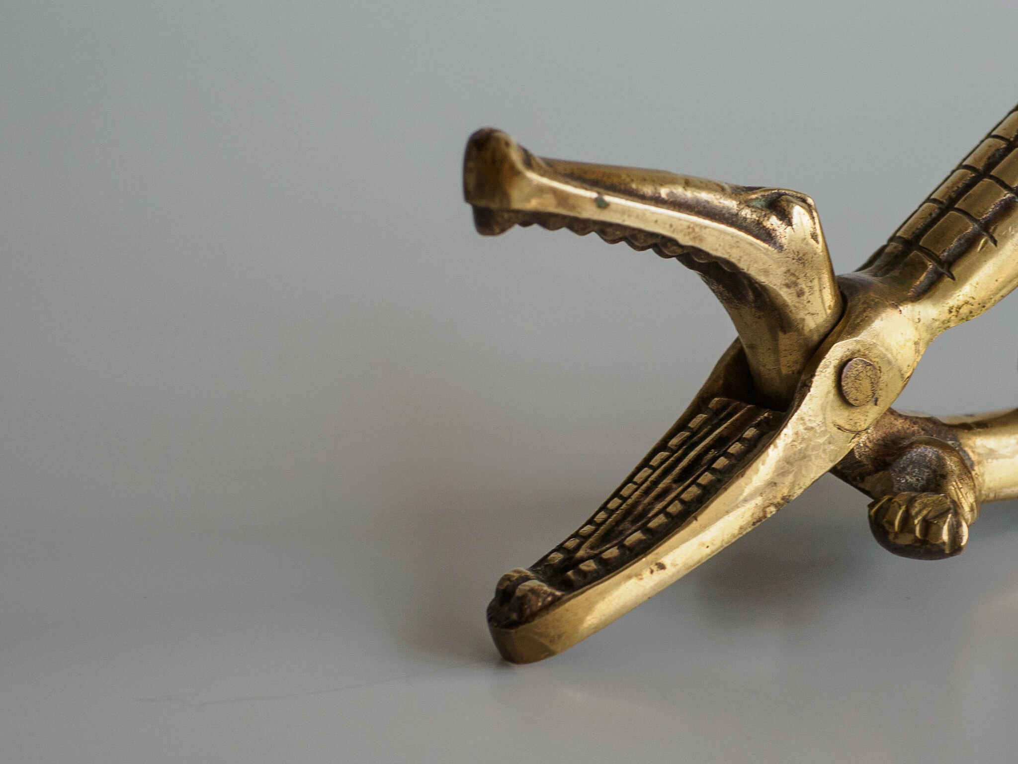 Brass Crocodile