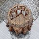 50' Vintage Metal and Wood Bird Cage
