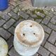 Lot de 2 pots Fries de Willy Guhl