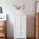 Armoire parisienne vintage