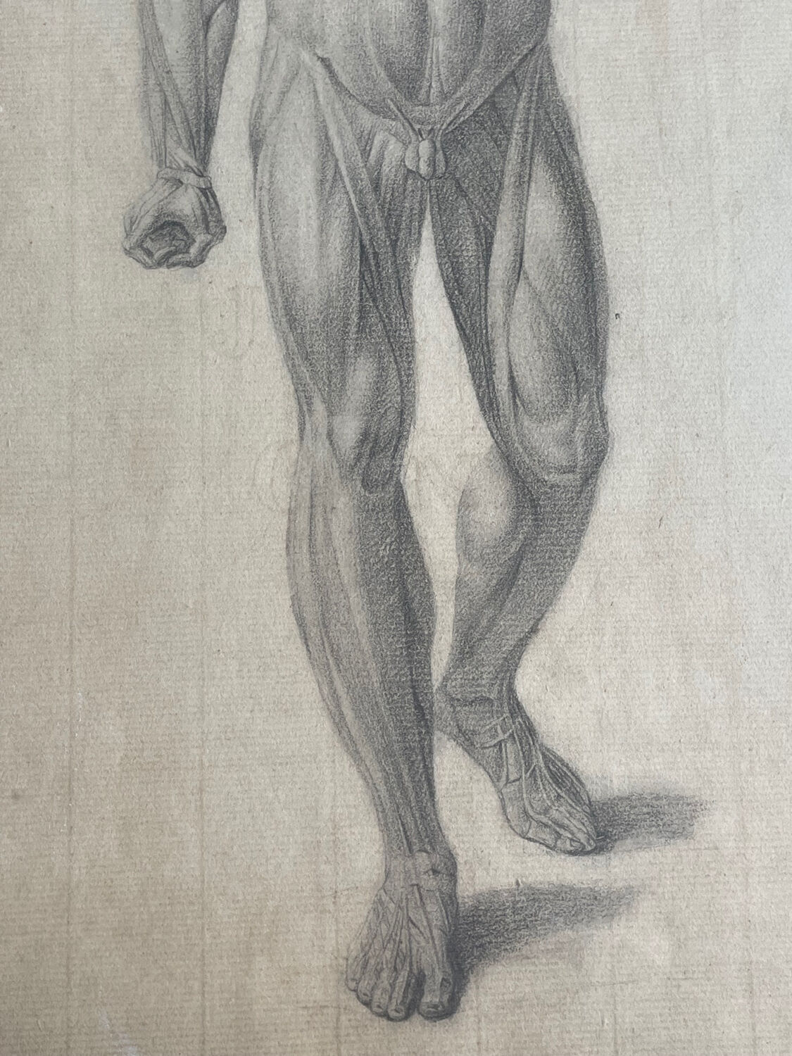Tableau dessin ancien homme écorché Anatomie XVIIIe