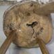 Brutalist bar stool in elm wood