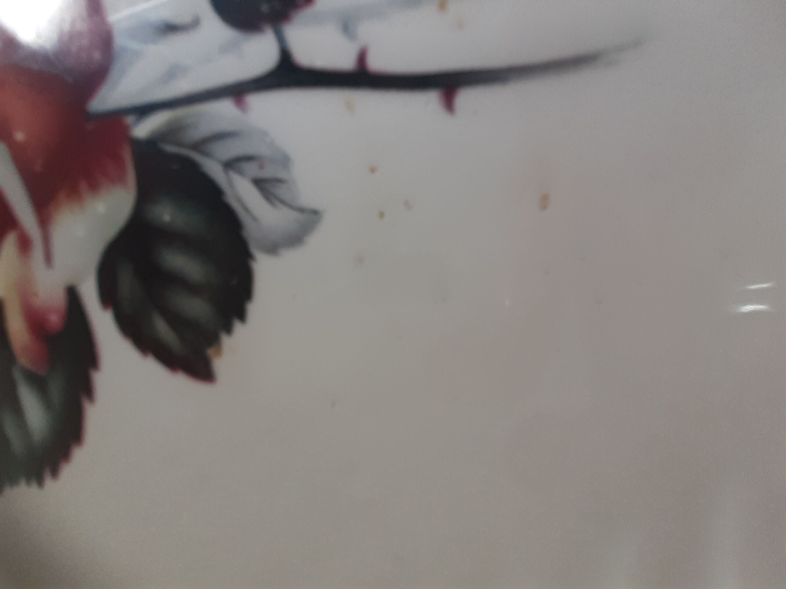 Roses gien prestige dish