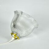 Holophane hanging lamp