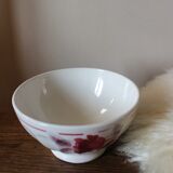 Old standing bowl pink red blue foliage