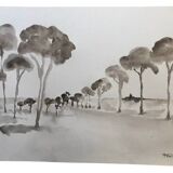 Painting signed monochrome watercolor “pine forest in Provence”