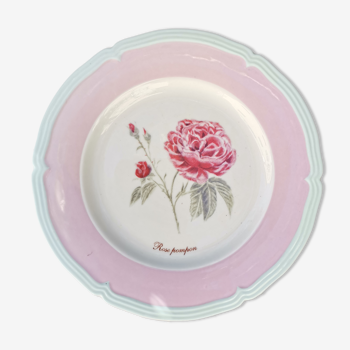 Pink plate