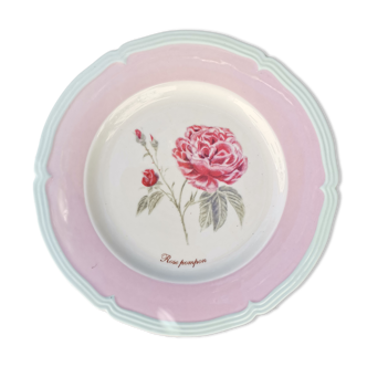 Assiette rose
