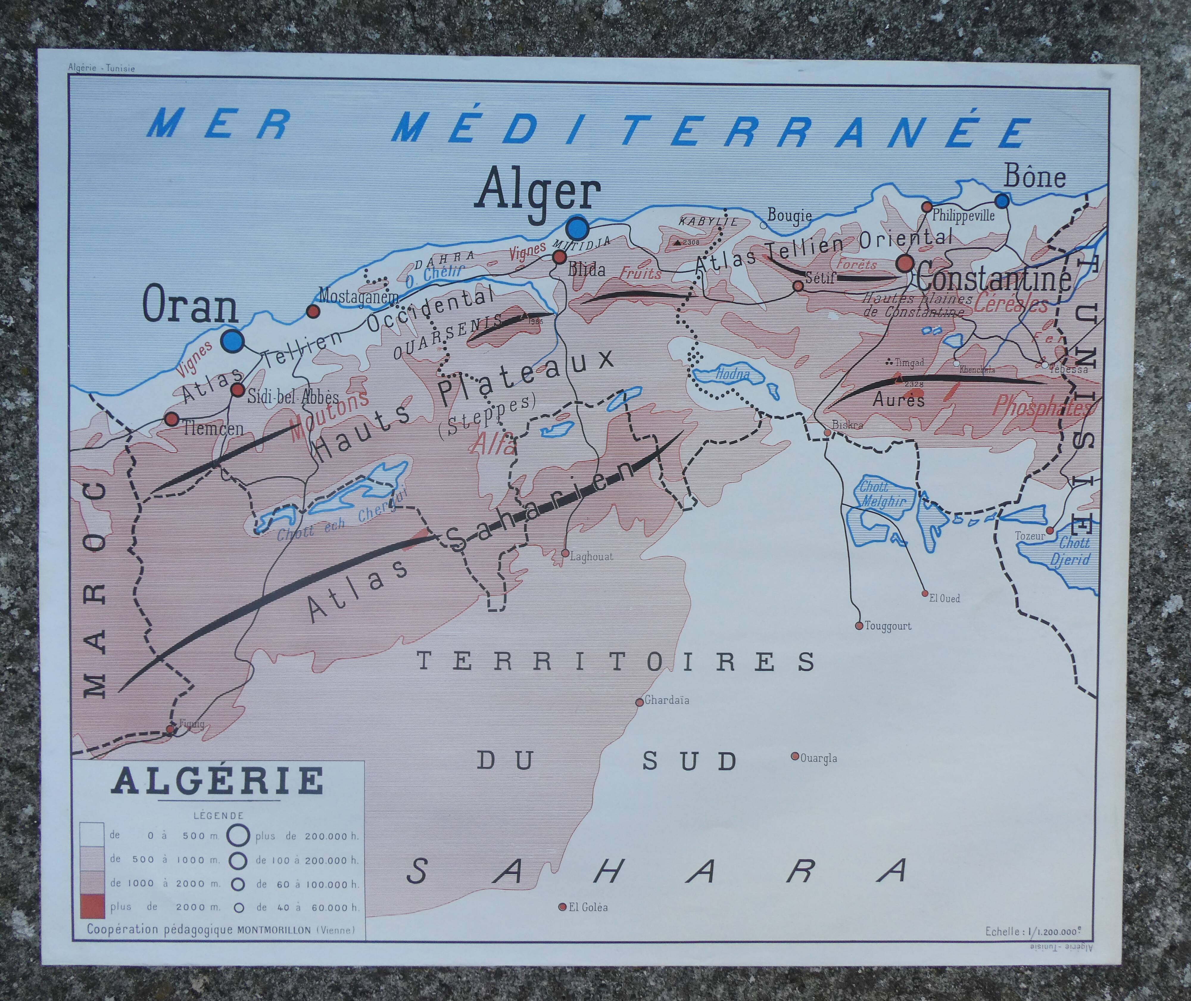 Old poster-school map Rossignol year 50 Tunisia, Algeria
