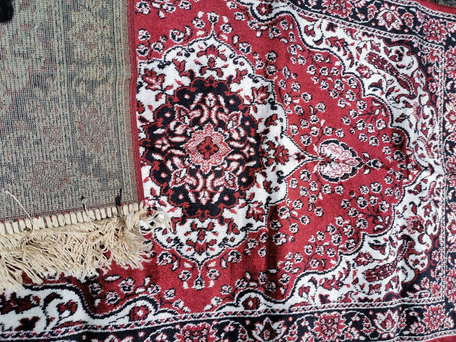 Oriental Rug