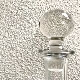 Wine carafe grape variety with cork